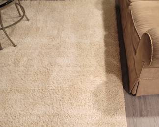 6' x 8' Ivory shag rug