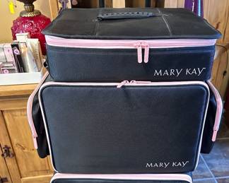 Mary Kay Consultants Organizer with Wheels