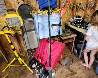 Inside Shed - Fishing Poles