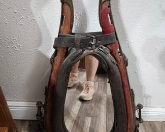 Mirror Mule Harness 