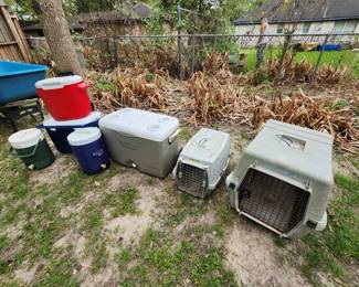Ice Chests - Cat Crate Comes with Cat