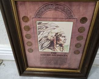 The American Indian Coin Collection 