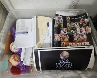 Alvin Baseball Memories 