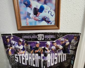 2013 Stephen F. Austin Poster