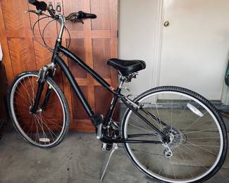 Globe Ladies Bicycle.