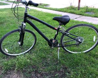 Globe Ladies Bicycle.