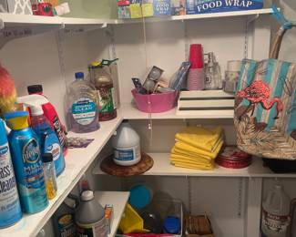 Cleaning supplies 