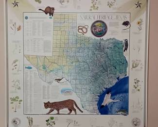 Natural Heritage Texas Wall Art