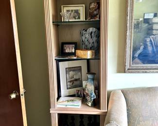 Display bookshelves with lights
