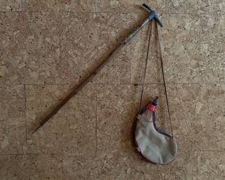 Mountain Walking Stick and Water Bag