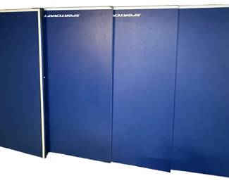 Sportcraft Ping Pong Table