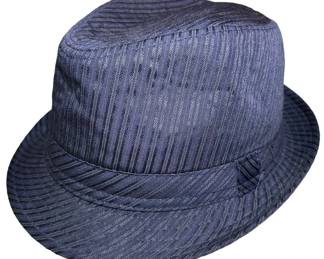 Mens Dark Blue Fedora