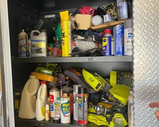 Misc chemicals for garage, car and yard.