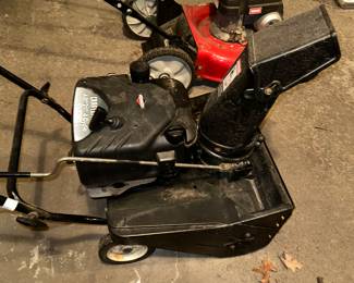 Snowblower and Lawn mower 