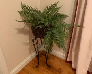 Decorative plants
