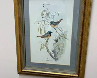 Framed bird art