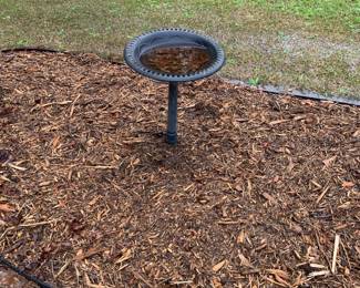 Bird bath
