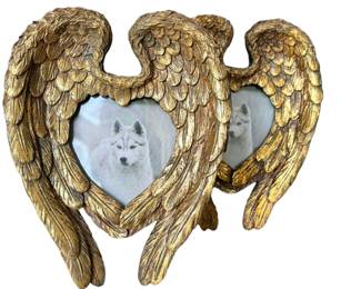Pair of Angel Wing Frames
