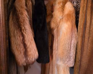 Fur and mink coats