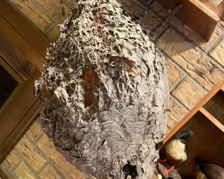 bee/wasp nest