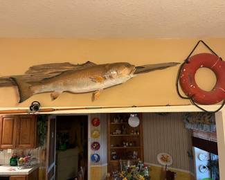 taxidermy stuffed fish