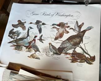 WA bird & animal prints