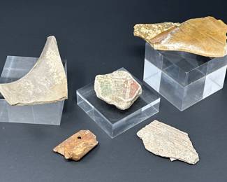 Fossils & Native Pot Shards