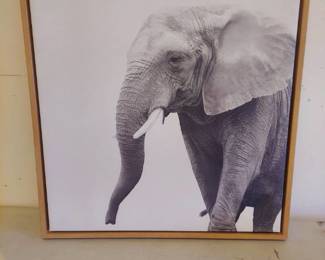 framed elephant art