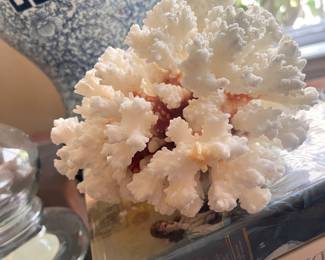 lots of coral, shells and beach decor
