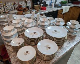 Rosenthal China - Shadow Rose