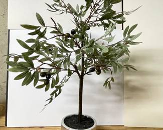 Small olive tree, 29"H,  was $38, NOW $30