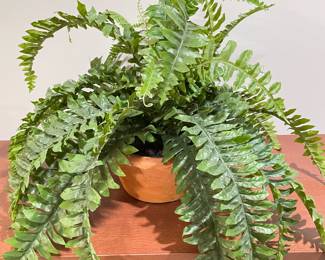 Faux fern in terra cotta planter, 9" x 16",  was $14, NOW $12