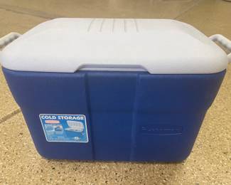 Blue and white cold storage cooler,  was $14, NOW $10