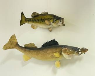 Bass fish mount, 13"L, was $75, NOW $45,  (Walleye fish mount, 25"L, was $125,  NOW $75/SOLD)