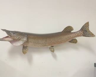 Northern Pike mount, 39"L, was $175, NOW $99