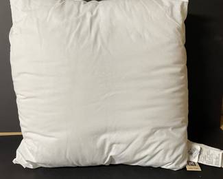 Euro pillow insert,  was $12, NOW $9