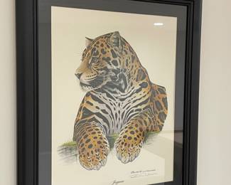 Framed Jaguar print Richard Evans Younger lithograph, 18"W x 23"H,  $65