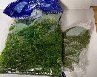 Green moss  -was $4, NOW $3