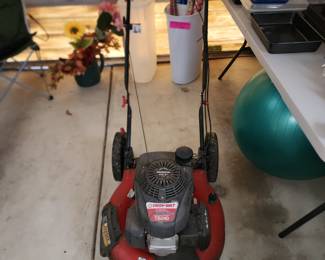 Troy Bilt mower, it started right up!