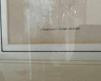 Pr.  Gould & Richter hummingbird prints                              22"h x 18" w framed