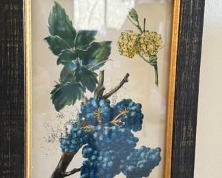 Botanical print grapes                                     10.75"h x 8"w 