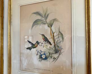 Pr.  Gould & Richter hummingbird prints                              22"h x 18" w framed
