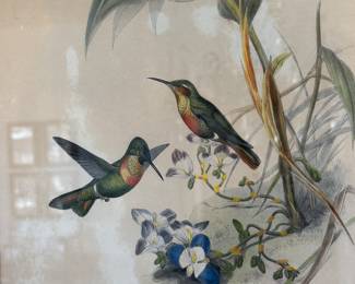 Pr.  Gould & Richter hummingbird prints                              22"h x 18" w framed