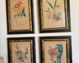 4  botanical prints after Maubert                                              frame size    8"h x 8.5"w