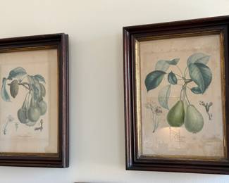 Botanical prints                                                                             19.5"h x 14"w 