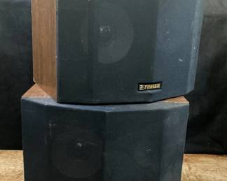 Fisher WS460B Speakers