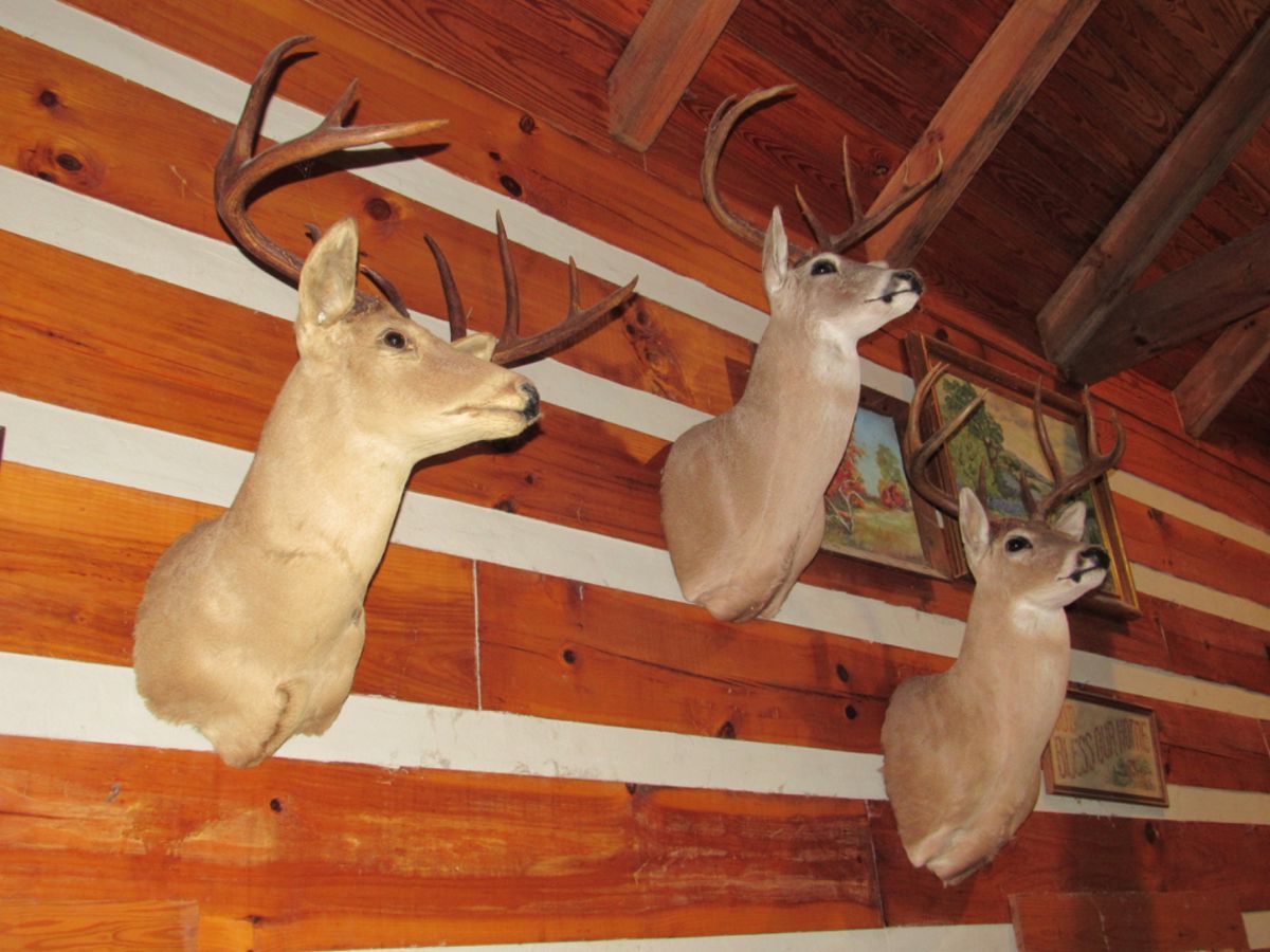 Sale 538 Castroville Estate starts on 6/15/2024