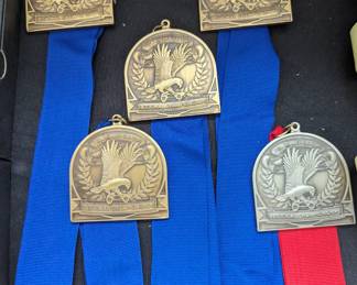 Skate Medals
