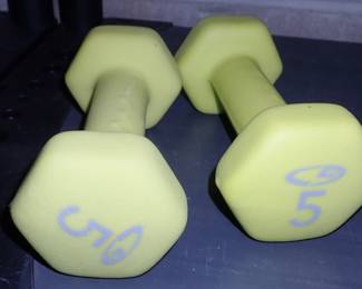 5 LBS WEIGHTS