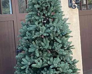 Lit Up Christmas Tree